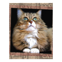 Fred the Cat Letterhead