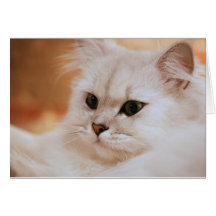 Freddie the Great All-Occasion Card
