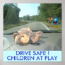 Freddy & Boober ! DRIVE SAFE POSTER