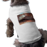 Frederic Edwin Church - Aurora Borealis Dog Clothing