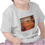 Frederic Leighton Flaming June T Shirt