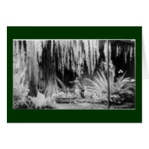 Frederick & Nelson Christmas Window - Customized Greeting Cards