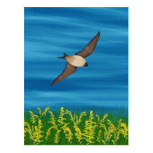 FREE BIRD POST CARD