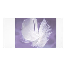 Free Falling feather on purple background Personalized Photo Card