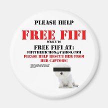Free Fifi the Bichon Frise Magnet