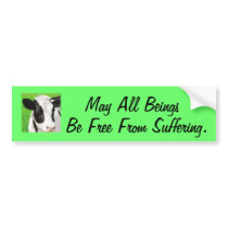Free From Suffering bumper stickers