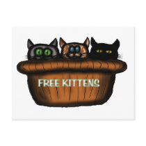 Free kittens postcard