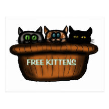 Free kittens postcard
