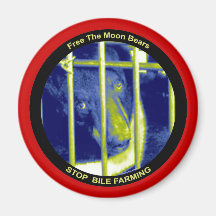 Free Moon Bears Magnet