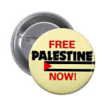 Free Palestine Pin