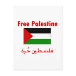 Free Palestine Postcard