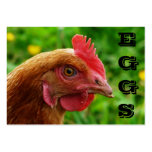 Free Range EGGS chicken business card