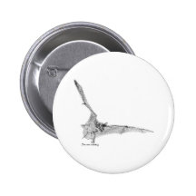 Free Tailed Bat Pinback Button