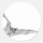 Free Tailed Bat Stickers