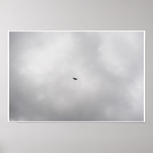 Free to Fly Poster