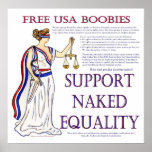 Free USA Boobies Poster