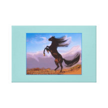 Freedom Canvas Prints