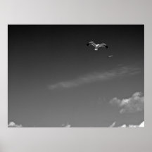 Freedom in BW Posters