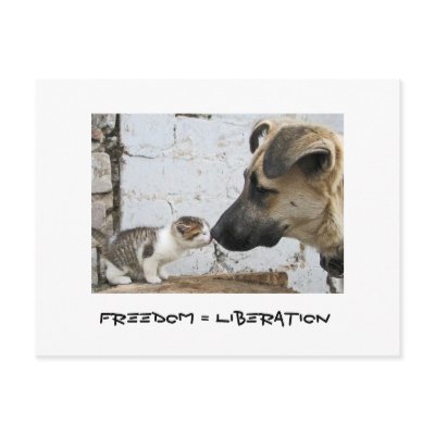 Freedom = Liberation Post Card by TheAnimalLiberator