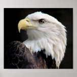 Freedom posters