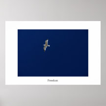 Freedom Posters