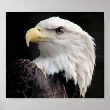 Freedom Print