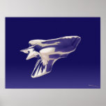 FREEFORM MANTA RAY POSTER