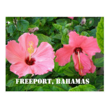 Freeport, Bahamas Postcard