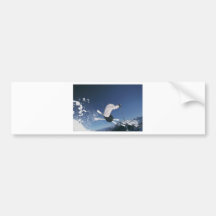 Freestyle Bumper Stickers