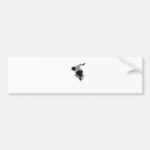 Freestyle snowboarder bumper stickers