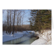 Freezing Stream Greeting Cards