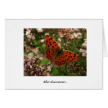 French-Aller doucement... Cards