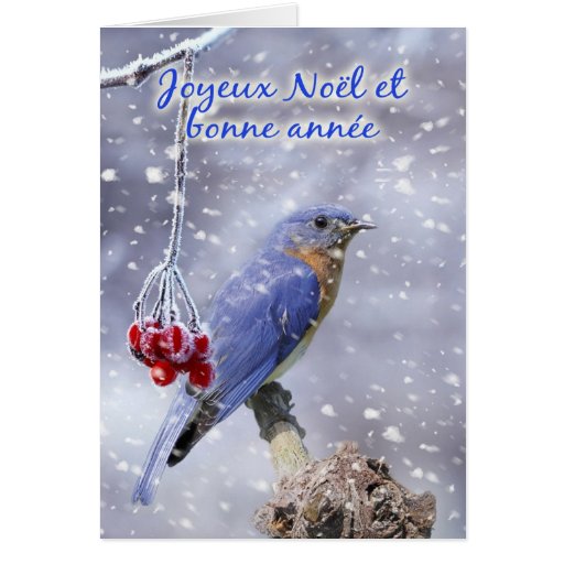 French - Blue Bird Christmas Greeting Card