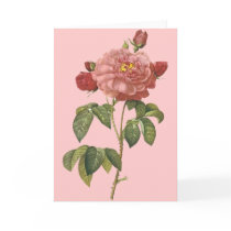 French Botanical Beauty *Vintage Flowers* Greeting Cards