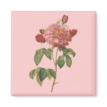 French Botanical Beauty *Vintage Flowers* Magnets