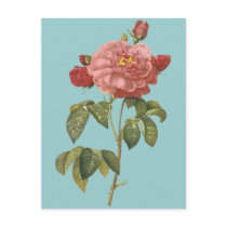 French Botanical Beauty *Vintage Flowers* Postcards