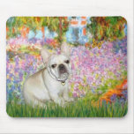 French Bulldog 3 - Garden