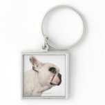 French Bulldog (4 years old) close-up Keychains