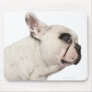 French Bulldog (4 years old) close-up Mousepads