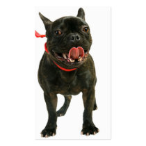 French Bulldog Business Card Templates