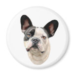 French Bulldog BW Bust Magnets