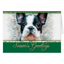 French bulldog dog greeting card