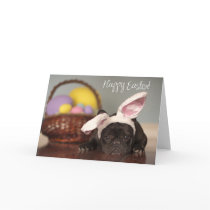 French Bulldog Easter Card!