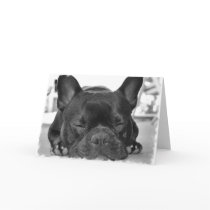 French Bulldog Greeting Card