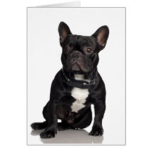 French Bulldog Greeting Cards