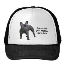 French Bulldog Hat