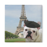 French Bulldog in Paris  magnet