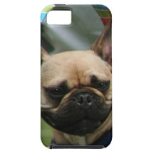 French Bulldog iPhone 5 Cover