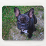 French Bulldog Mouse Mat