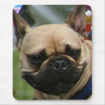 French Bulldog mousepad